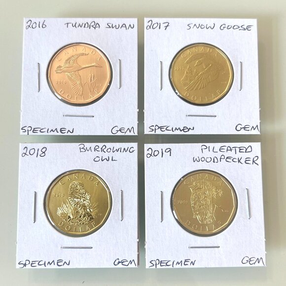 2016, 2017, 2018 and 2019 Canada Special Specimen $1 Loonies! - Picture 1 of 10